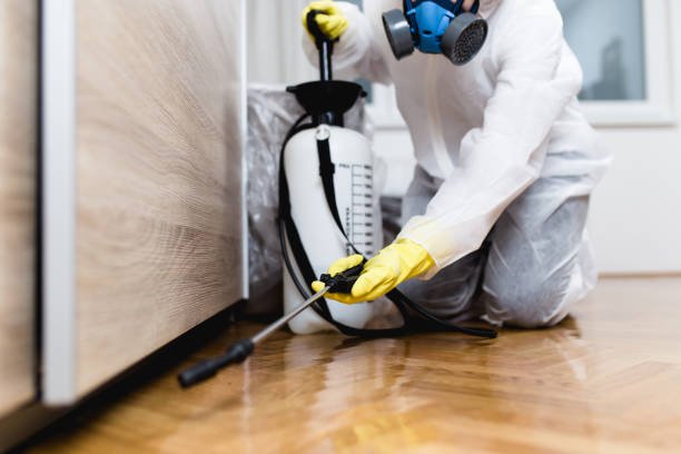 Best Pest Removal Services  in Ferndale, CA