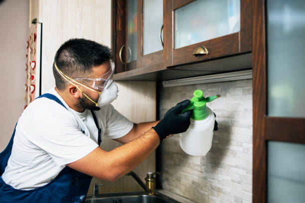 Pest Control Cost in Ferndale, CA