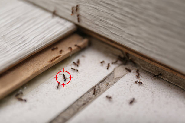 Ferndale, CA Pest Control Company
