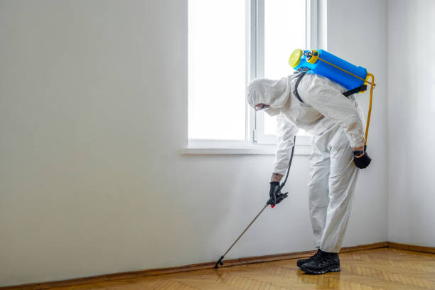 Best Pest Control Cost  in Ferndale, CA
