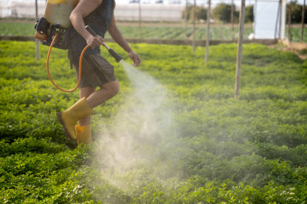 Best Pest Control Near Me  in Ferndale, CA