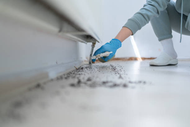 Best Insect Control  in Ferndale, CA